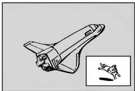 Illustration eines Space Shuttles mit einem eingefügten Bild eines springenden Kaninchens (kein Text oder Symbole)