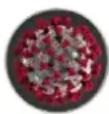 Infiniton SPTBM12A3 - Requisitos de instalação - 5