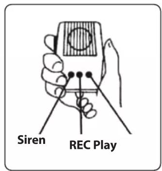 Siren REC Play
