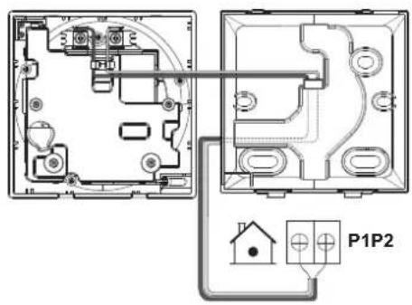 Technical diagram showing two views of a device with labeled components and connection points, including a P1P2 terminal label.