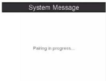 System Message Pairing in progress...