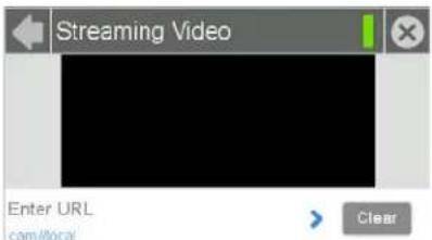 Streaming Video Enter URL cam/local Clear
