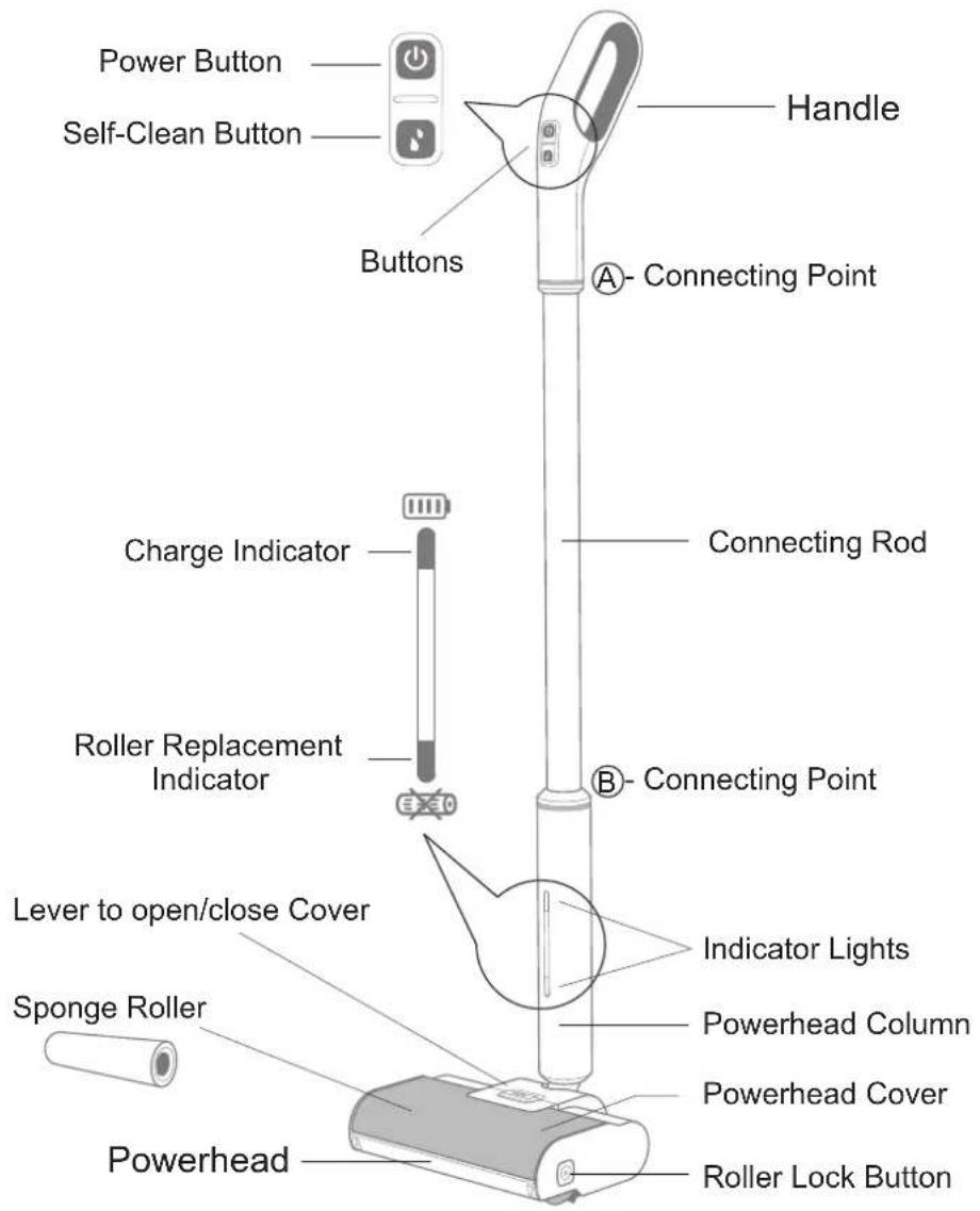 Power Button Self-Clean Button Buttons Handle A- Connecting Point Charge Indicator Connecting Rod Roller Replacement Indicator B- Connecting Point Lever to open/close Cover Sponge Roller Indicator Lights Powerhead Column Powerhead Cover Powerhead Roller Lock Button