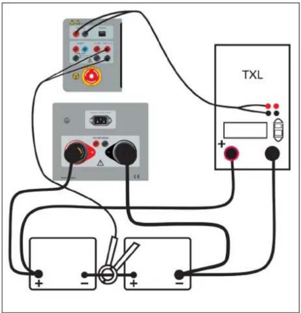TXL + - - - + -