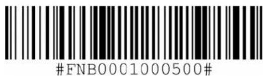 #FNB0001000500#