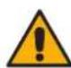 Cleco LiveWire 961350PT - Warnung - 1