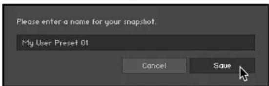 Please enter a name for your snapshot. My User Preset 01 Cancel Save