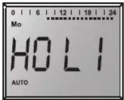 0 | | 6 | | 12 | | 18 | | 24 Mo HOLI AUTO