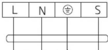 L N S