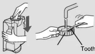 Tooth