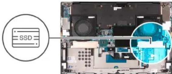 SSD