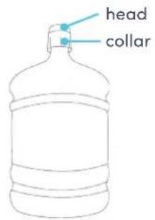 head collar