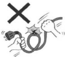 Safety warning illustration showing a hand holding an electrical plug with a fuse and a 'X' symbol above it.
