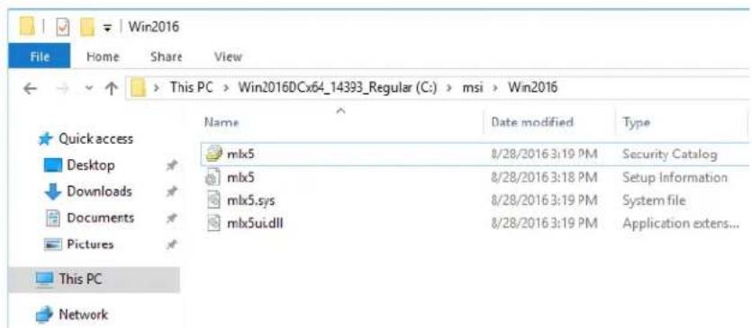 Win2016 File Home Share View This PC > Win2016DCx64_14393_Regular (C:) > msi > Win2016 Name Date modified Type Quick access Desktop Downloads Documents Pictures mlx5 8/28/2016 3:19 PM Security Catalog mlx5 8/28/2016 3:18 PM Setup Information mlx5.sys 8/28/2016 3:19 PM System file mlx5ui.dll 8/28/2016 3:19 PM Application extends... This PC Network