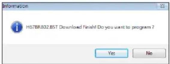 Information H67BR802.BST Download Finish! Do you want to program ? Yes No