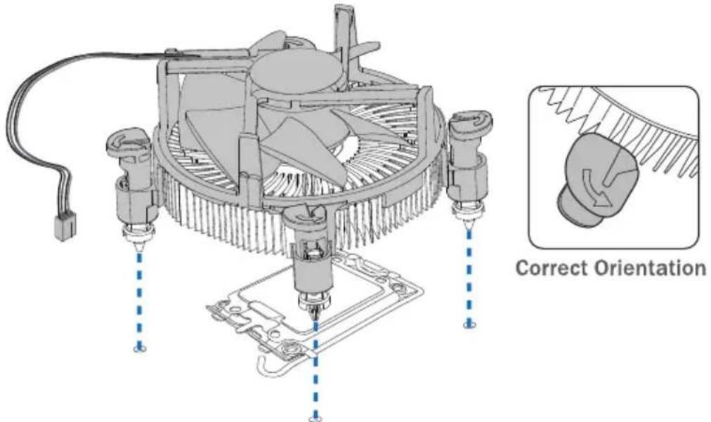 Correct Orientation