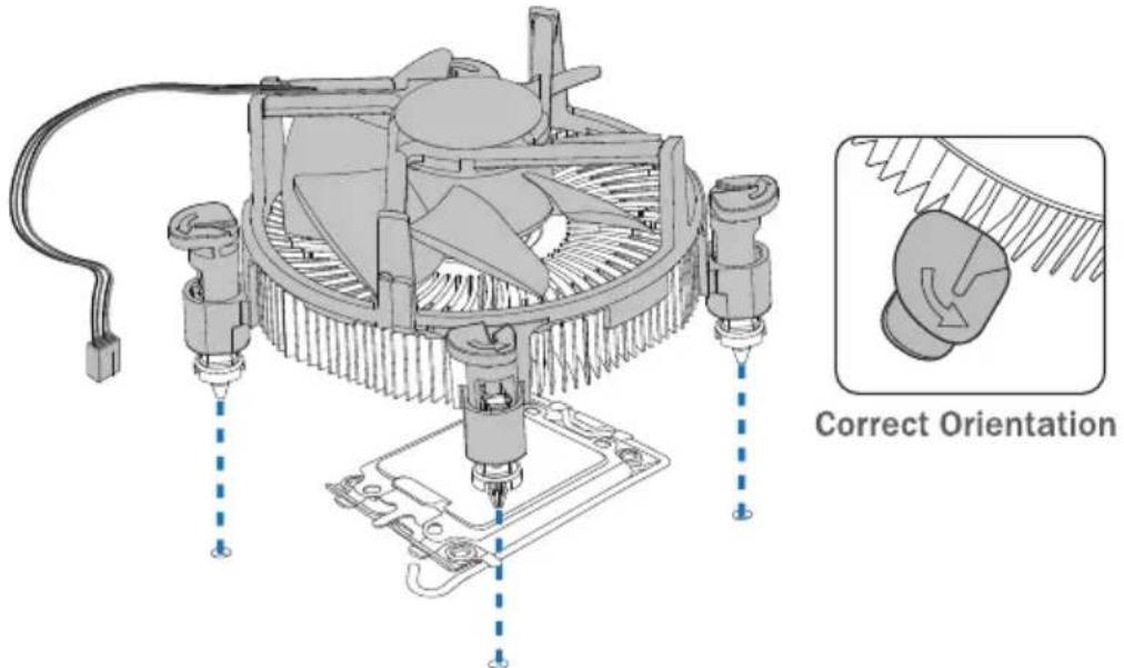 Correct Orientation