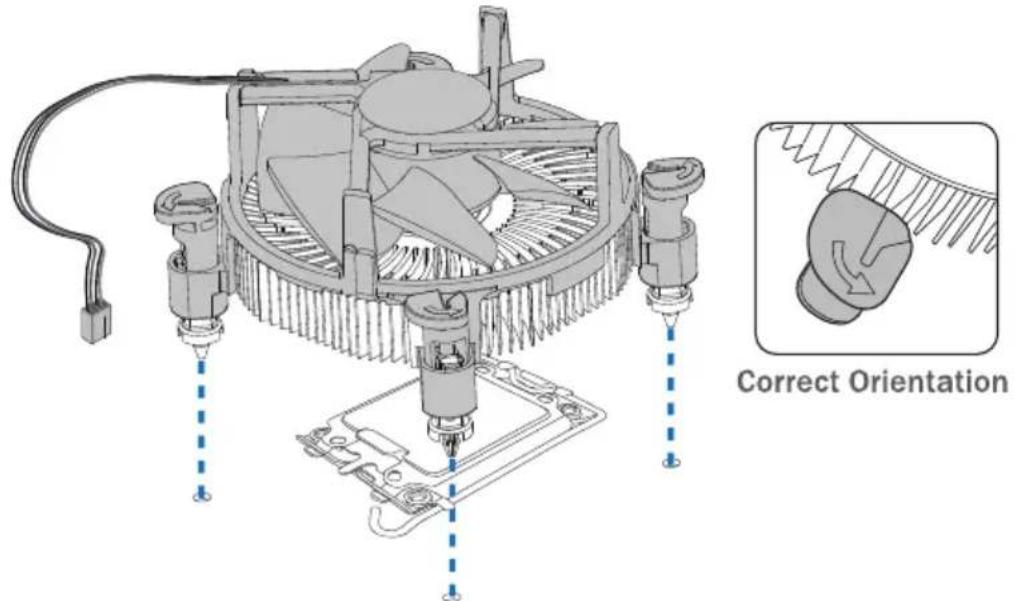 Correct Orientation
