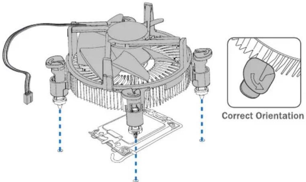 Correct Orientation