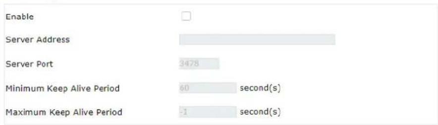 Enable Server Address Server Port 3478 Minimum Keep Alive Period 60 second(s) Maximum Keep Alive Period -1 second(s)