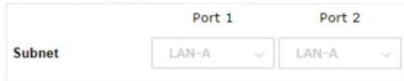 Subnet Port 1 LAN-A Port 2 LAN-A