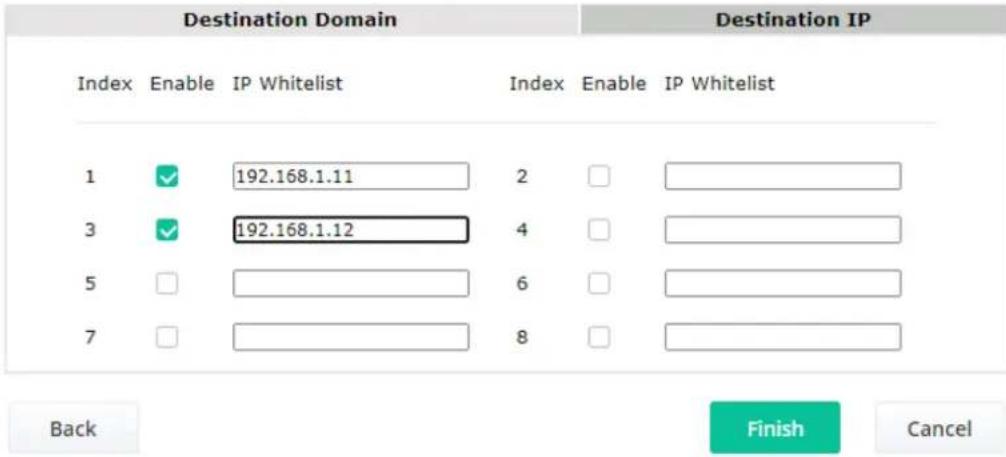 Destination Domain Index Enable IP Whitelist Index Enable IP Whitelist 1 ✓ 192.168.1.11 2 3 ✓ 192.168.1.12 4 5 □ 6 □ 7 □ 8 □ Back Finish Cancel Destination IP