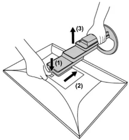(1) (2) (3)