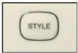 STYLE