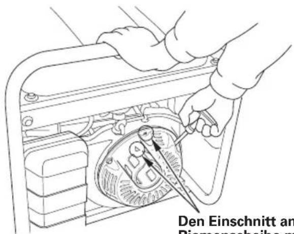 Den Einschnitt an Biomscheibe m