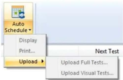 Auto Schedule Display Print... Upload Next Test Upload Full Tests... Upload Visual Tests...