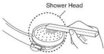Shower Head