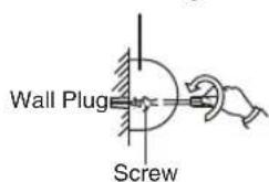 Wall Plug Screw