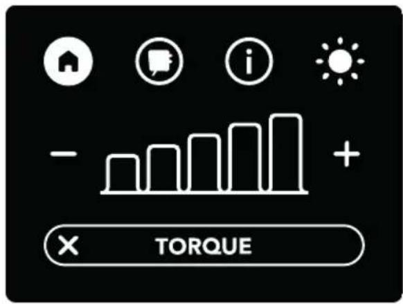 - TORQUE +