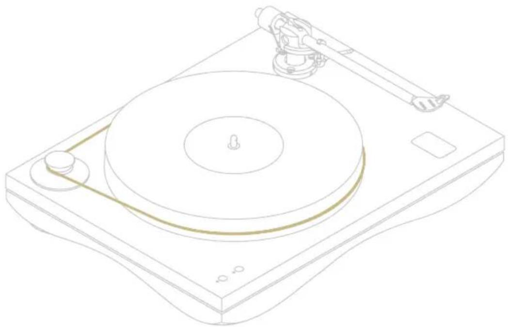 Gold Note Giglio - BELT AND THE TONEARM CABLE - 1