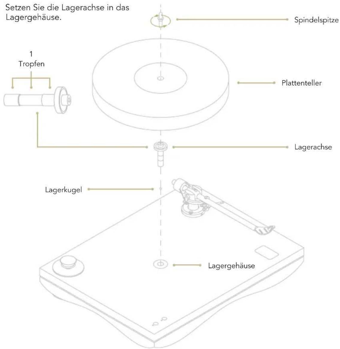 Setzen Sie die Lagerachse in das Lagergehäuse. Spindelspitze 1 Tropfen Plattenteller Lagerachse Lagerkugel Lagergehäuse