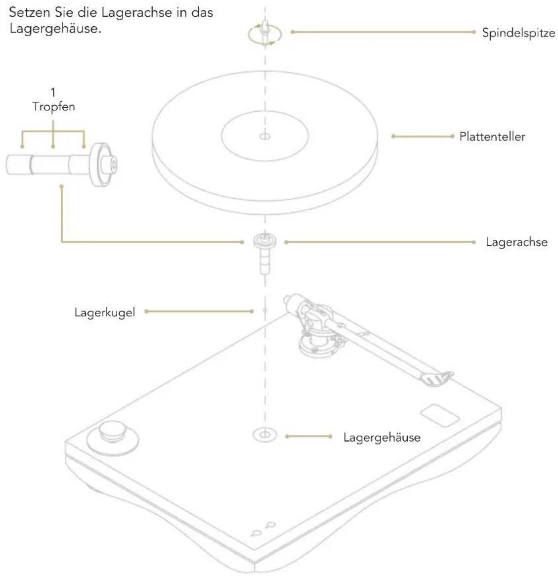 Setzen Sie die Lagerachse in das Lagergehäuse. Spindelspitze 1 Tropfen Plattenteller Lagerachse Lagerkugel Lagergehäuse