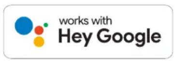 works with Hey Google