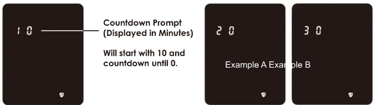10 Countdown Prompt (Displayed in Minutes) Will start with 10 and countdown until 0. 20 Example A Example B 30