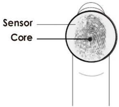 Sensor Core