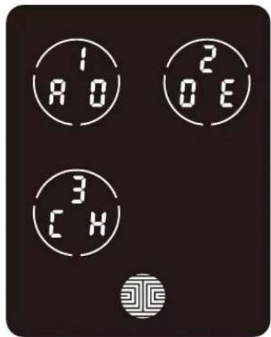 1 A O 2 O E 3 C H