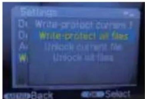 Settings D: Write-protect current f D: Write-protect all files A: Unlock current file W: Unlock all files