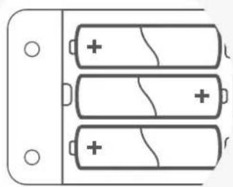 Rexing H2 - 101 - 1