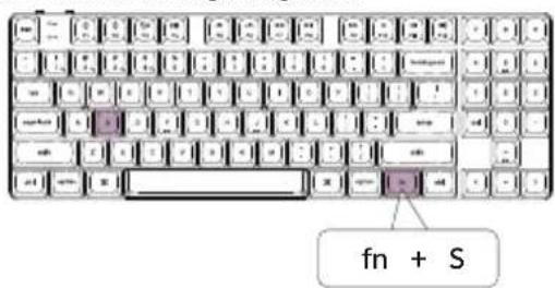 fn + S