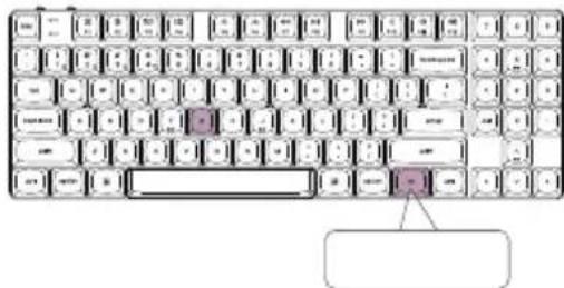 Diagram of a standard computer keyboard with one key inserted, showing letter positions and a blank input box.