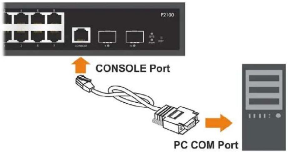 P2100 CONSOLE Port PC COM Port