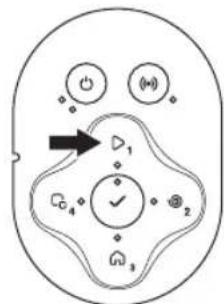 Diagram of a cell division with labeled organelles and directional arrows indicating movement or interaction.