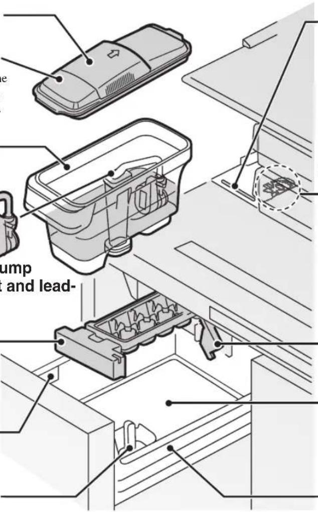 Jump and lead-
