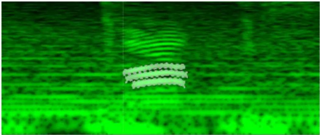 Green-tinted abstract pattern with horizontal white lines and vertical striations (no text or symbols)