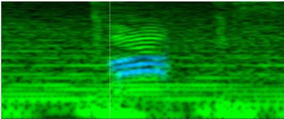 Abstract green and blue textured pattern with no discernible text or symbols