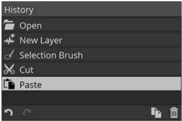 History Open New Layer Selection Brush Cut Paste